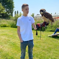 🦘Early-Willem🦘