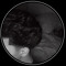 aron