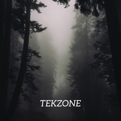 Tekzone