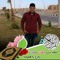 الحمد الله