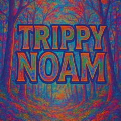 Trippy noam