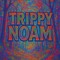 Trippy noam