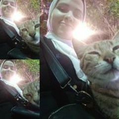 مريم السباعي