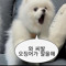 째