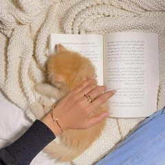 Amira Mahmoud