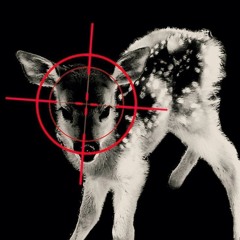 alittlebitinlovewithu