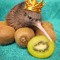 Kiwi Eat Kiwi