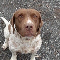 skyler