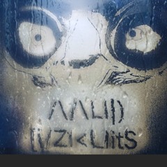 MuD ziRkuitS