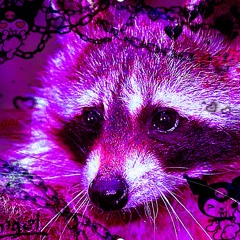 ╭∩╮(Ο_Ο)╭∩╮