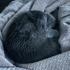binx