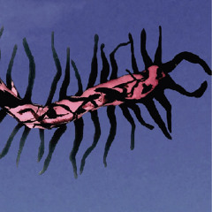 SMANIA