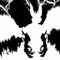 Yukio