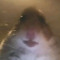 Mike_fishy