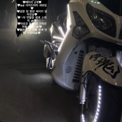 셋터코아