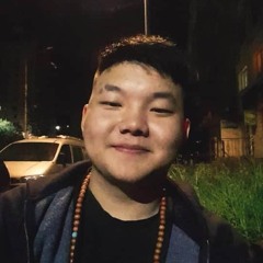nisdegnemo