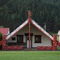 pātara