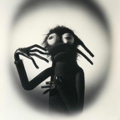 Vividor Noise & The Real Tight Sleeper