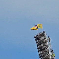 marK