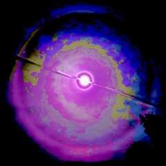 Where Babies Come From