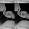 ph huyen my