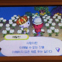 어떻게 사랑이 그래요