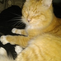 Mariah Carey Greatest Hits Full Album Top Hits 2023 – Mariah Carey Top 20 Songs Mariah Carey