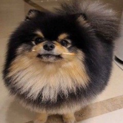 김 아시아