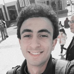 mohamed elmansy