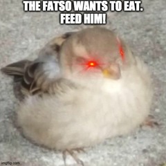 meh