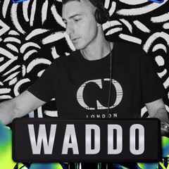 waddo