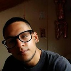 Sebastian Sepulvea