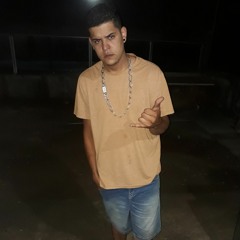 vitin da vdi