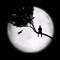 _3urmind