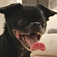DOB
