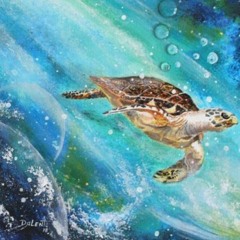 la Tortue Spatiale