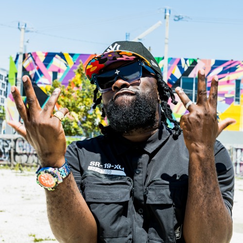 Hush your mouth (NMS Roadmix)