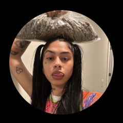 𓃵N6PROFIT