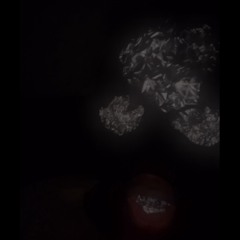 lizardemane(weekly freestyles)