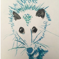 mosspossum