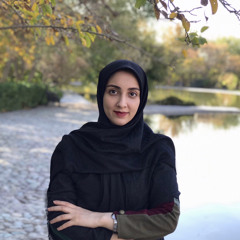 Maedeh H.Toosi