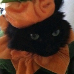 SlushyScarf