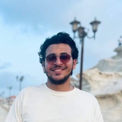 Amr Ali