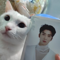 sf9 member