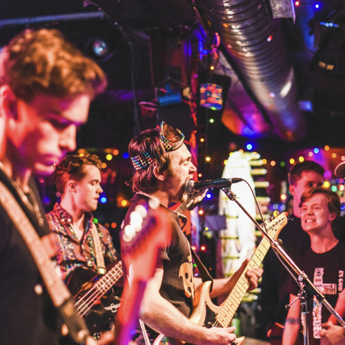 Stream House Hippo music Listen to songs, albums, playlists for free