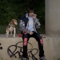 Wootan Official