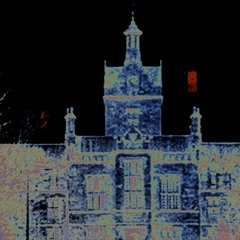 DIGITAL ASYLUM