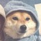 Martin_
