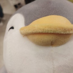 247penguin