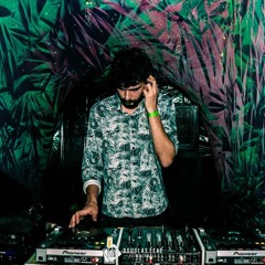 Psylocibe & Chill Zen